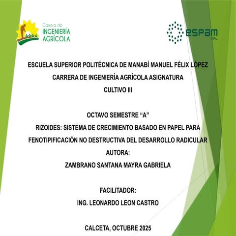 Rhizoslides. que son y su funcionalidad.pptx