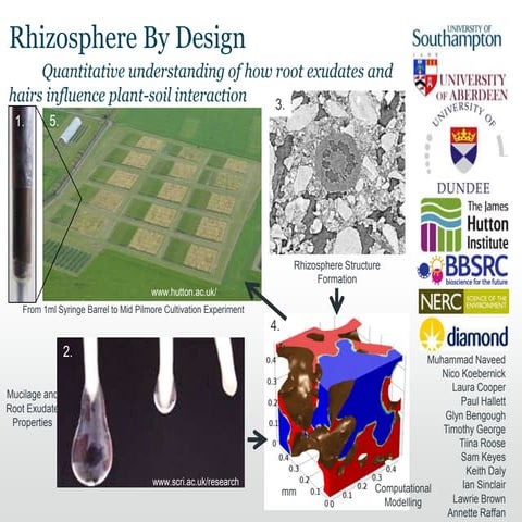 Rhizosphere by Design Spring 2016