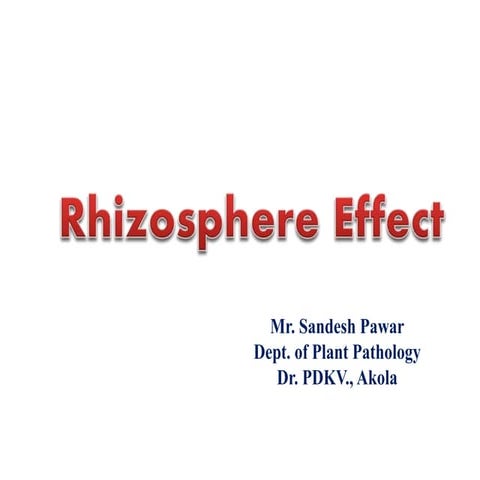 Rhizosphere effect