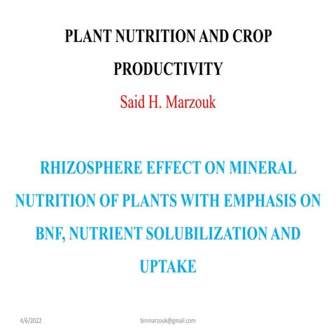RHIZOSPHERE EFFECTS.pptx