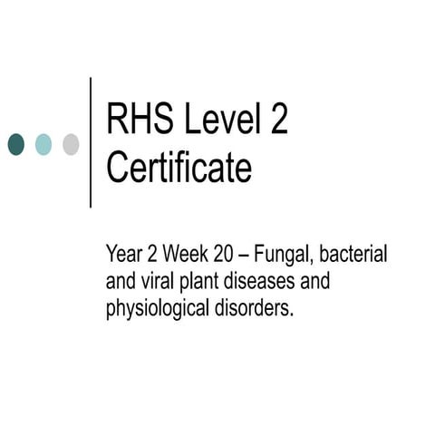 Rhs year 2 week 18 presentation | PPT