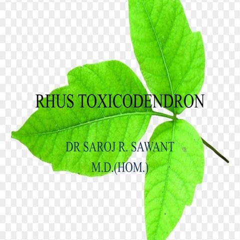 Rhux tox Drug Picture