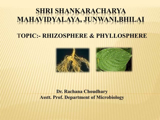 Rhizosphere & phyllosphere