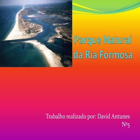 Ria formosa | PPTX