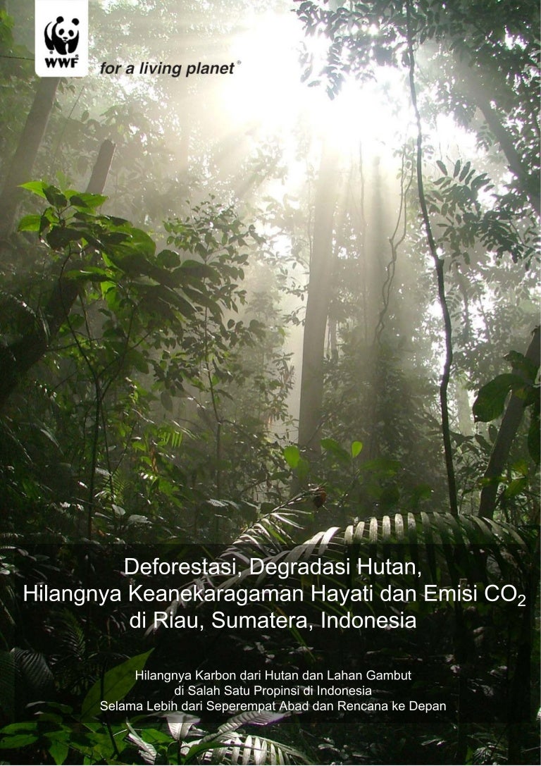 Riau Co2 Full Report Bahasa Indonesia