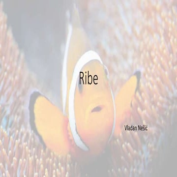 Cvet | PPT
