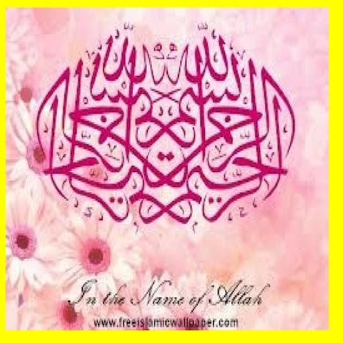 Riboflavin ( B2) MUHAMMAD MUSTANSAR