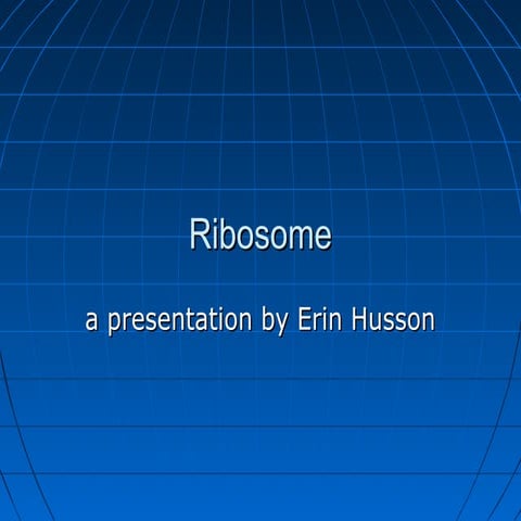 Ribosome