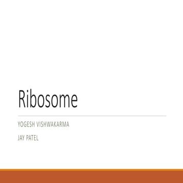 Ribosome ppt (introduction structure & Function) 
