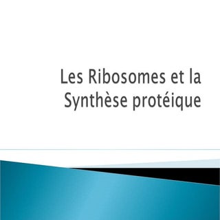 les ribosomes et la synthèse proteique