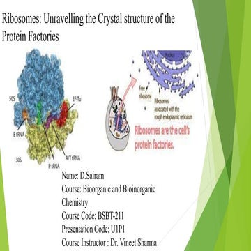 Ribosomes: Unravelling the structure of Protein Factories