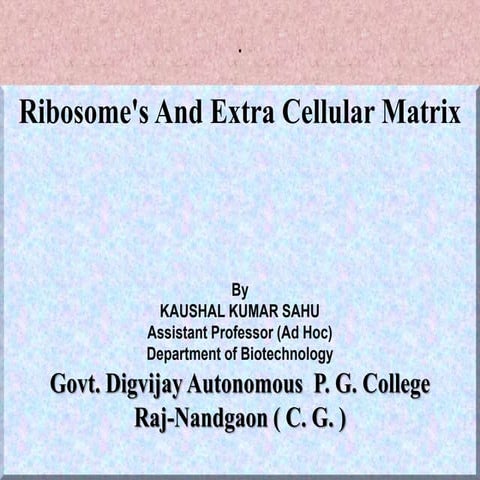 Ribosomes and extra cellular matrix