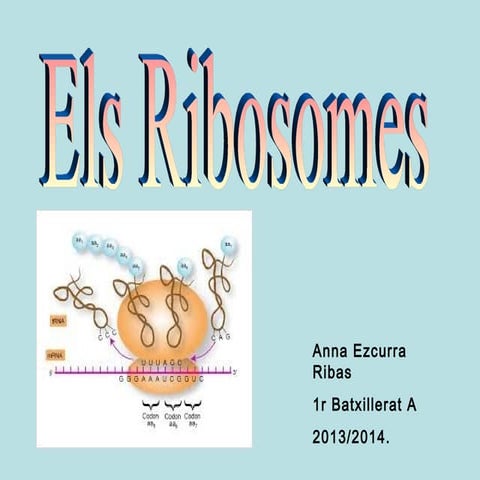 Ribosomes, anna ezcurra