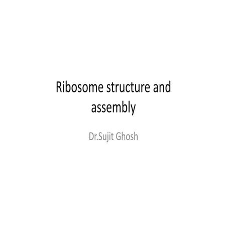Ribosome structure and assembly