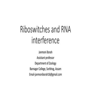 Riboswitches and RNA interference (RNAi)