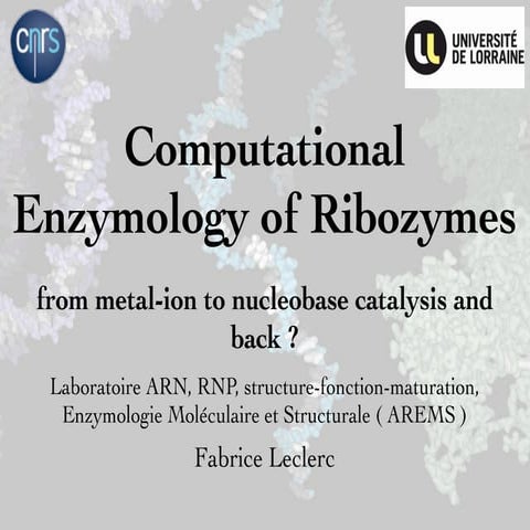 Computational Enzymology of Ribozymes (from metal-ion to nucleobase catalysis...