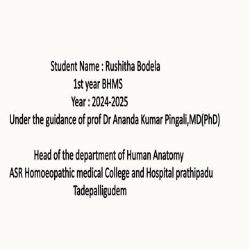 Power point presentation of Human Ribs.pptx