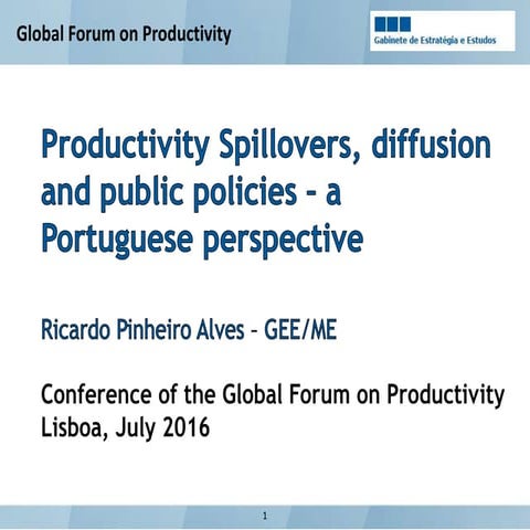 Productivity Spillovers, Diffusion and Public Policies: A Portuguese Perspective