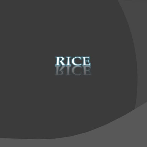 Rice