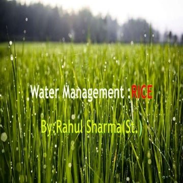 Water Management In Rice...