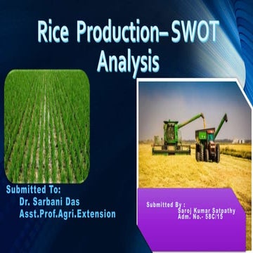 RICE FARMING - SWOT ANALYSIS