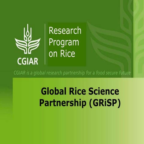 GRM 2013: Global Rice Science Partnership (GRiSP) – H Leung