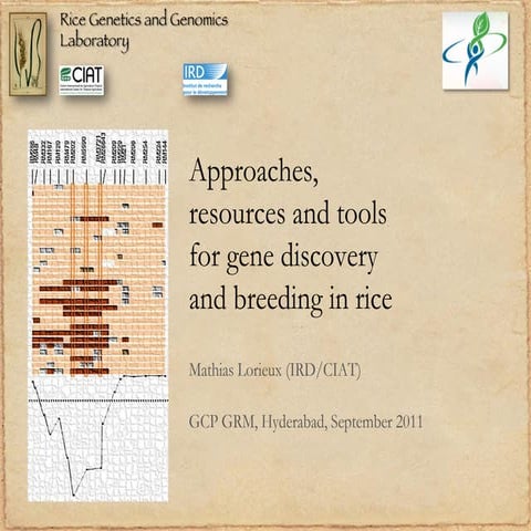 GRM 2011: Approaches, resources and tools for rice gene discovery and breeding