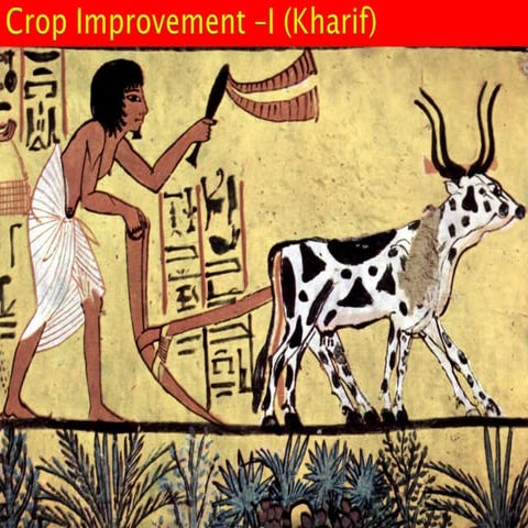 Rice bean (Vigna umbellata) Crop Improvement | PDF
