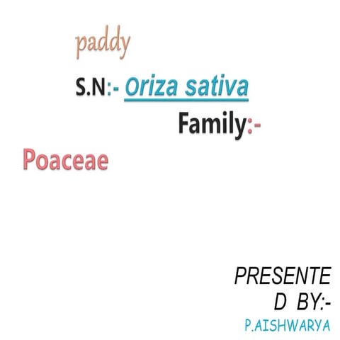 RICE Crop by products.pptx