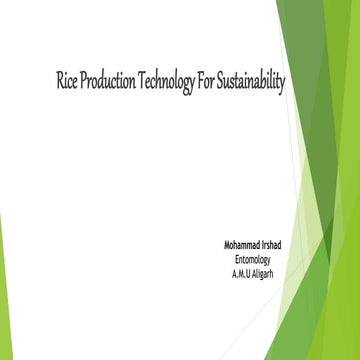 Rice cultivation.pptx.......