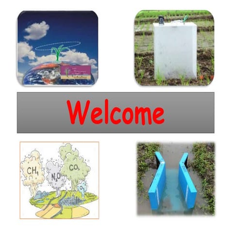 Rice culture and greenhouse gas emission