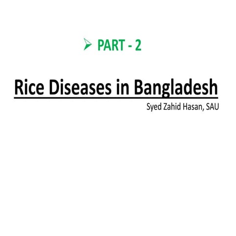 Rice  diseases  part_2_zahid