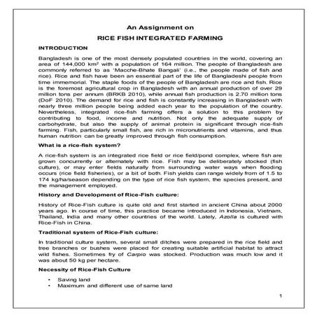 Rice fish integrated farming