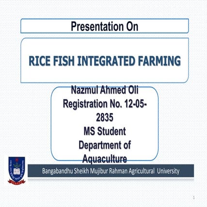 Rice fish integrated farming presentation