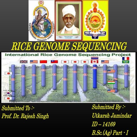 Rice genome sequencing by utkarsh