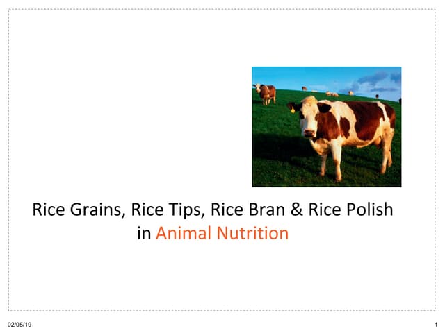 ricegrainsricetipsricebranricepolishinanimalnutrition-190205055006-thumbnail.jpg