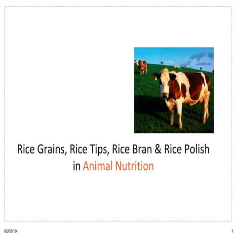 Rice grains, rice tips, rice bran & rice polish in animal nutrition
