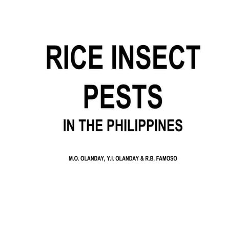 RICE INSECT PESTS.pptwfdsbgesfdhytjyjjjj