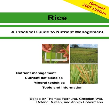 Rice nutrient
