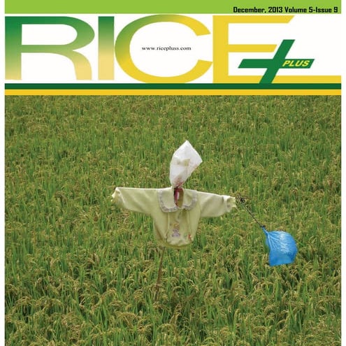 Rice plus magazine,v5 issue 9 , december 2013