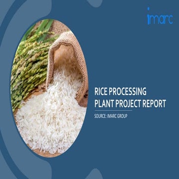 Rice Processing Plant Project Report.pdf