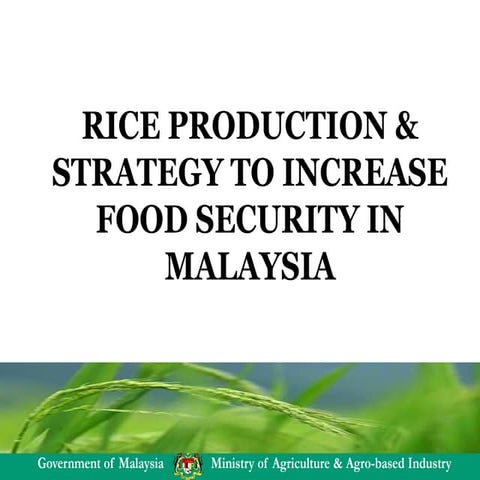 Rice Production and Strategy to Increase Food Security in Malaysia
