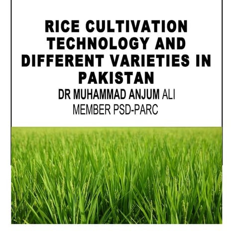RICE PRODUCTION TECHNOLOGIES 