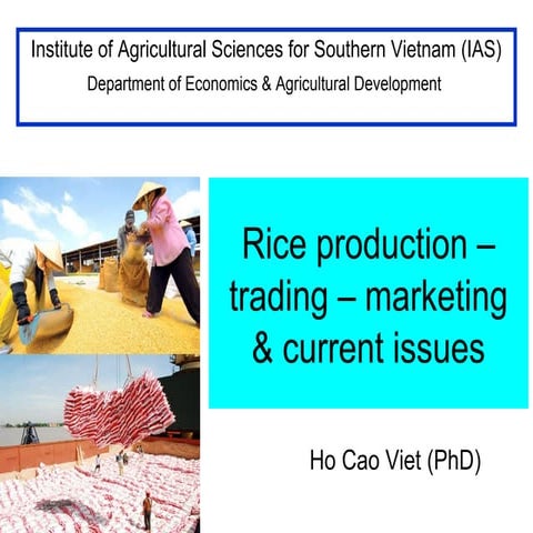 Rice production - trading - marketing & current situation