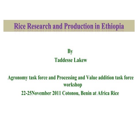Rice  research and production in ethiopia