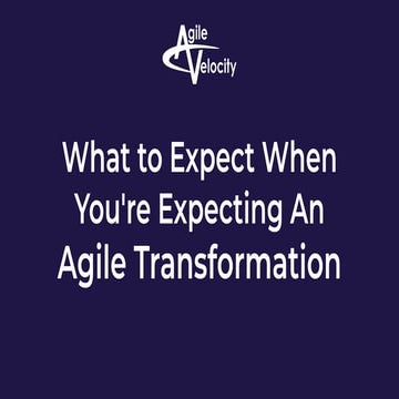 Richard dolman january 2020 webinar (agile velocity)