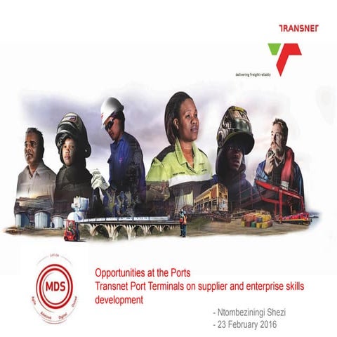 Business overview and opportunities at the Ports