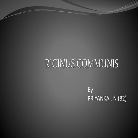 Ricinus communis roll no.82