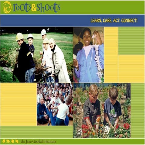 Roots and Shoots workshop by Rick Asselta, Jane Goodall Institute