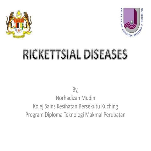 Rickettsia